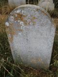 image of grave number 503440